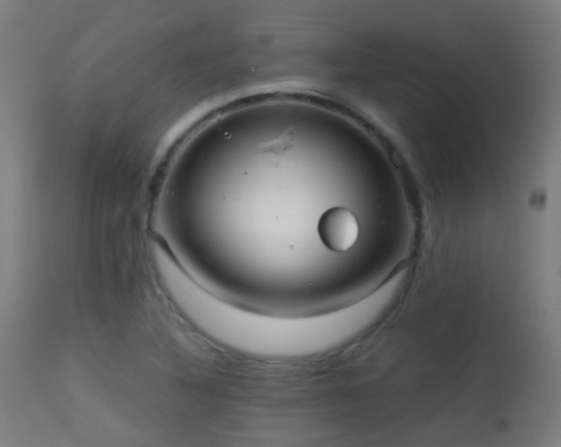 X0000113281316200909211030