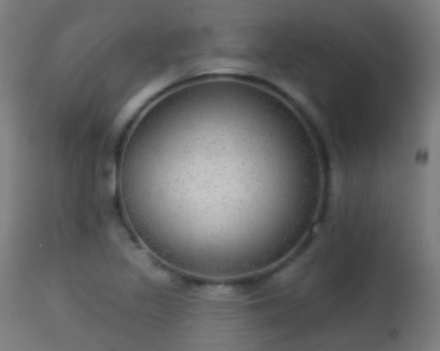 X0000113281317200909211030