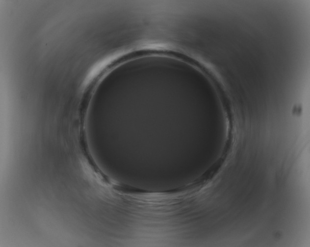 X0000113281319200909211030