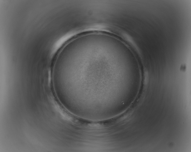 X0000113281320200909211030