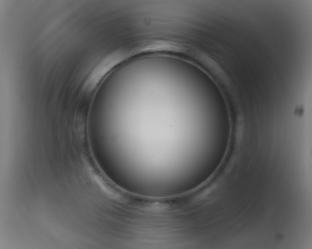 X0000113281321200909211030