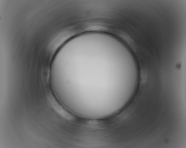 X0000113281322200909211030