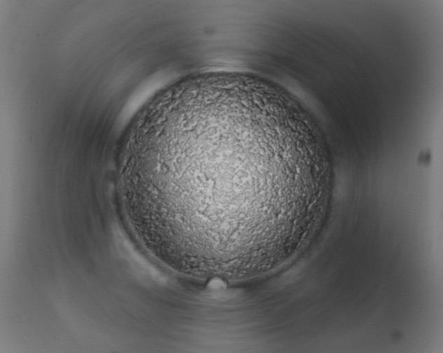 X0000113281325200909211030