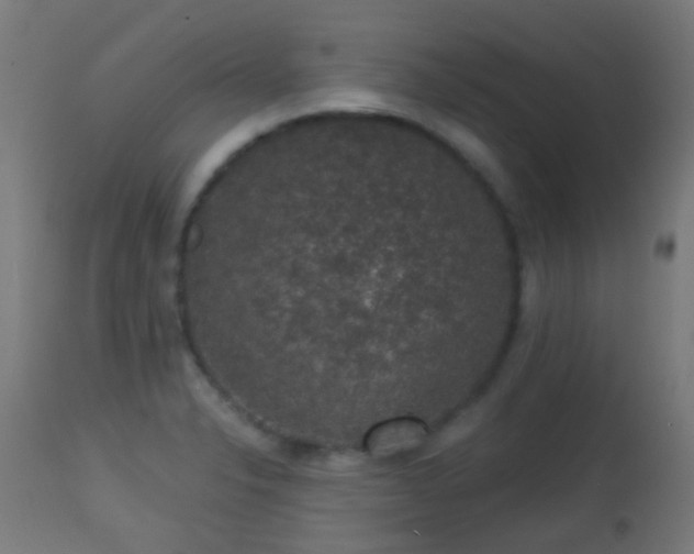 X0000113281326200909211030