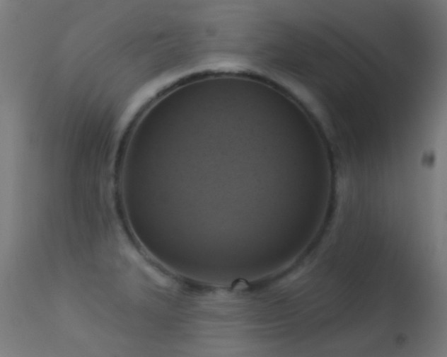 X0000113281327200909211030