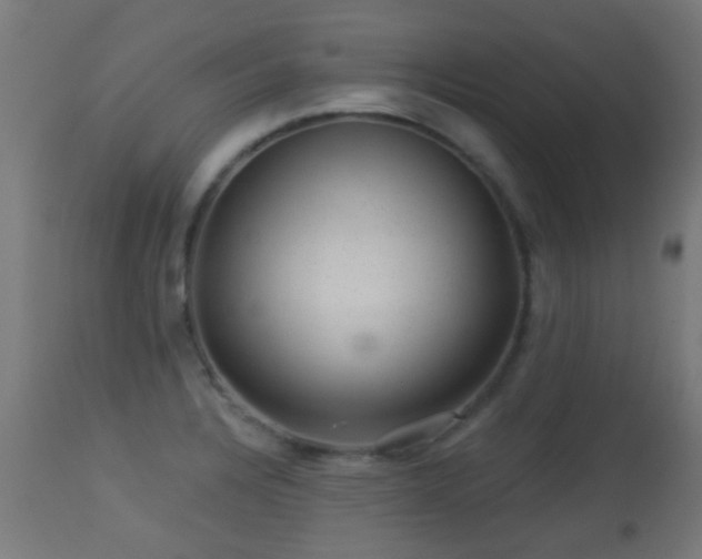 X0000113281328200909211030