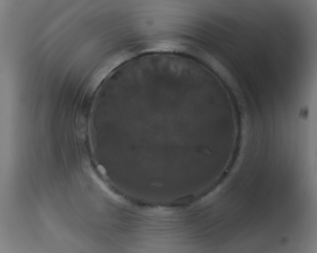 X0000113281329200909211030