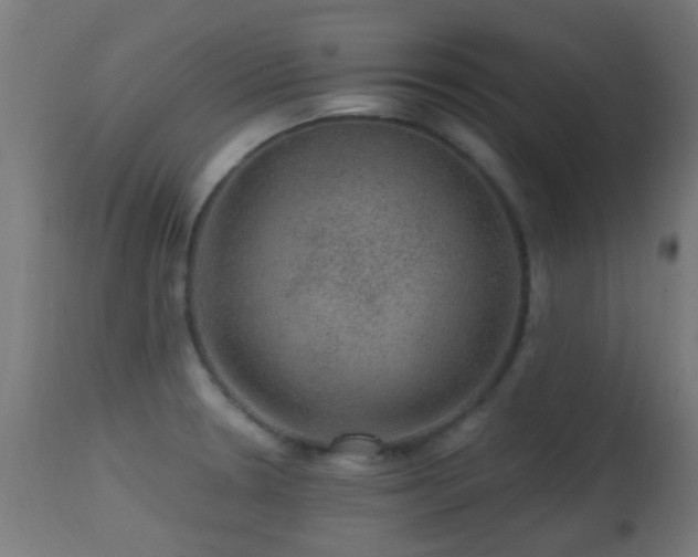 X0000113281330200909211030