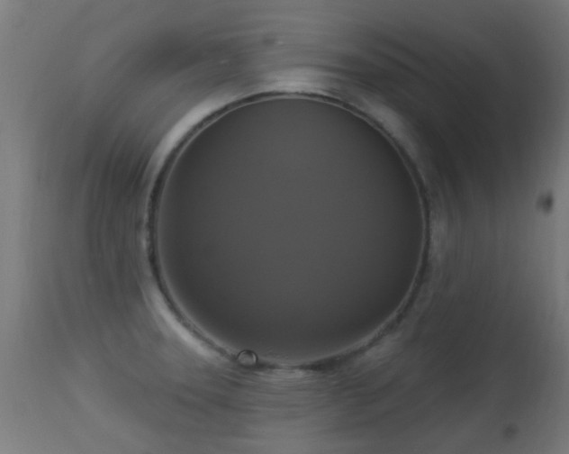 X0000113281331200909211030