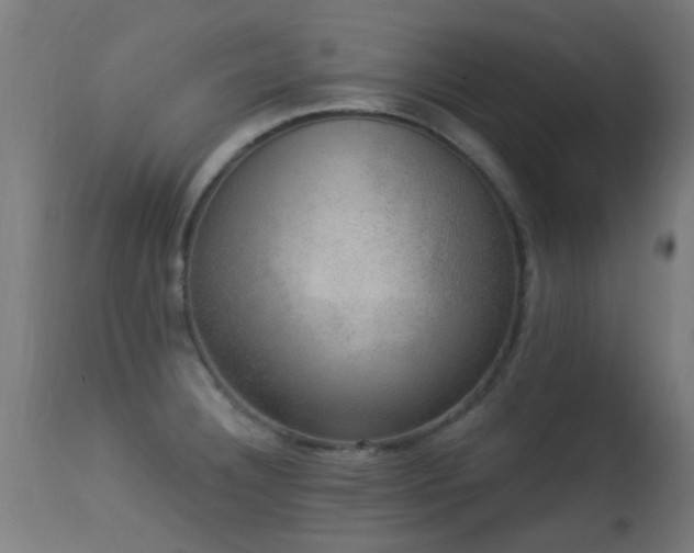 X0000113281332200909211030