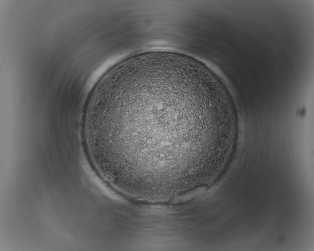 X0000113281333200909211031