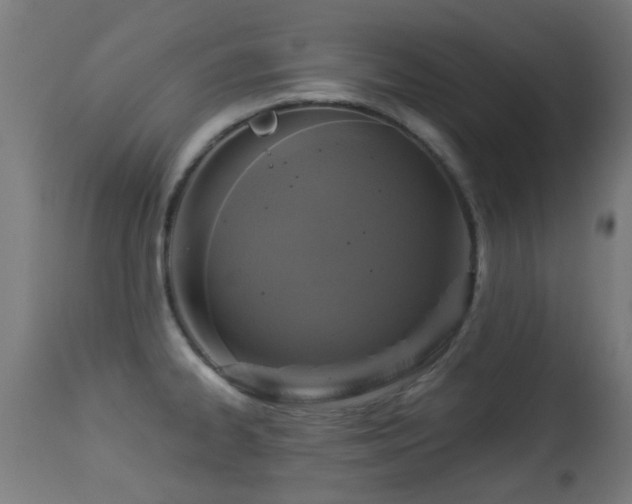 X0000113281334200909211031