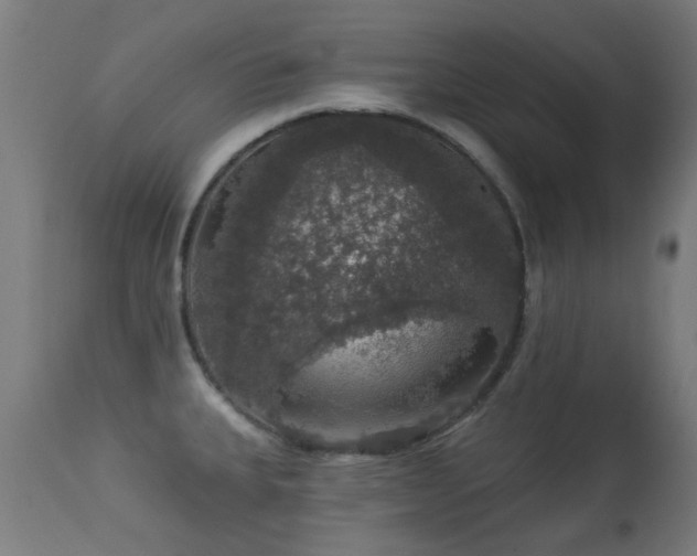 X0000113281335200909211031