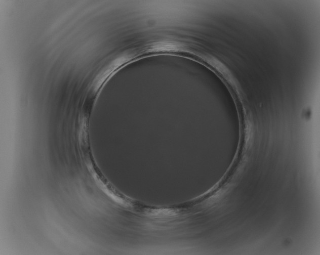 X0000113281337200909211031