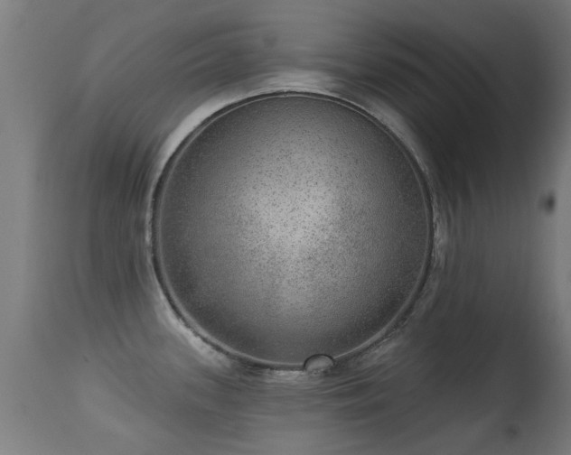 X0000113281339200909211031