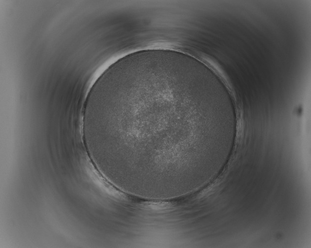 X0000113281340200909211031