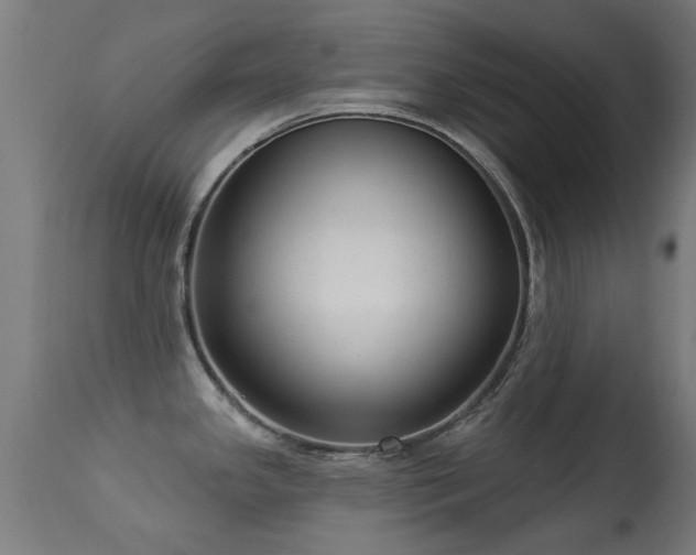 X0000113281341200909211031