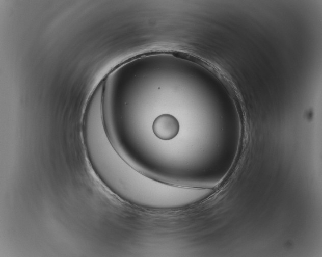 X0000113281342200909211031