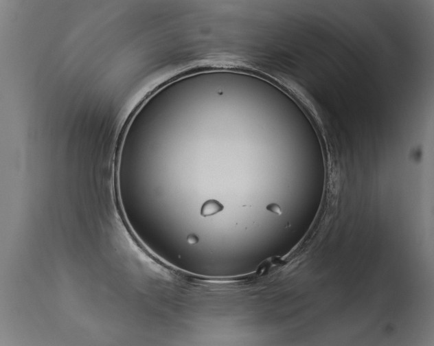 X0000113281343200909211031