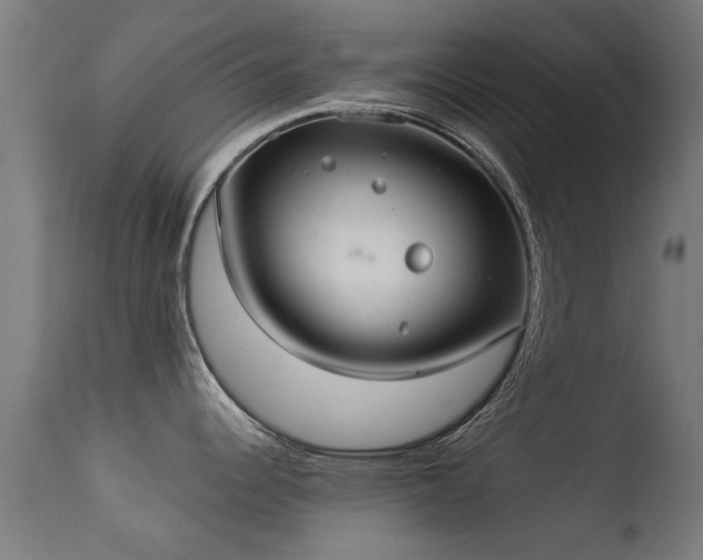 X0000113281344200909211031