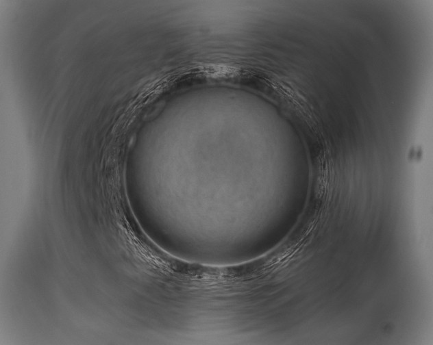 X0000113281345200909211030