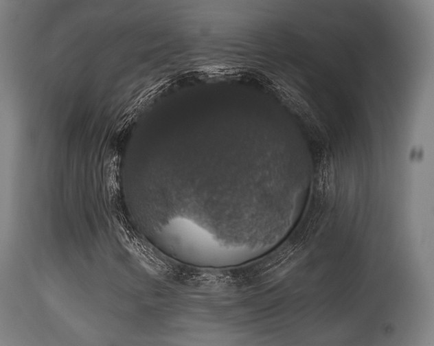 X0000113281346200909211030