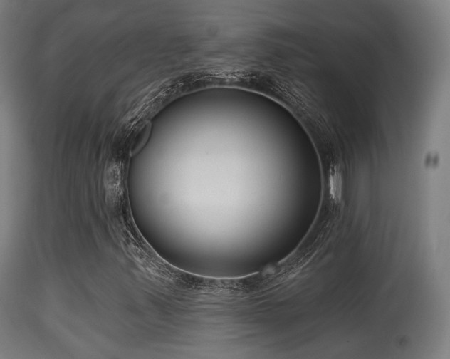 X0000113281347200909211030