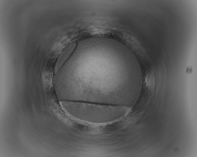 X0000113281348200909211030