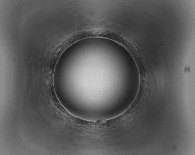 X0000113281349200909211030