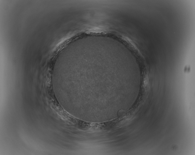 X0000113281350200909211030