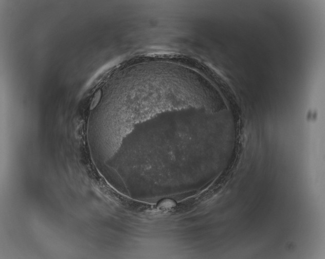 X0000113281351200909211030