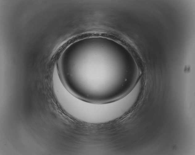 X0000113281352200909211030