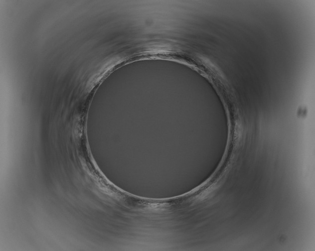 X0000113281353200909211030