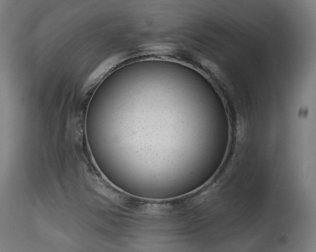 X0000113281354200909211030