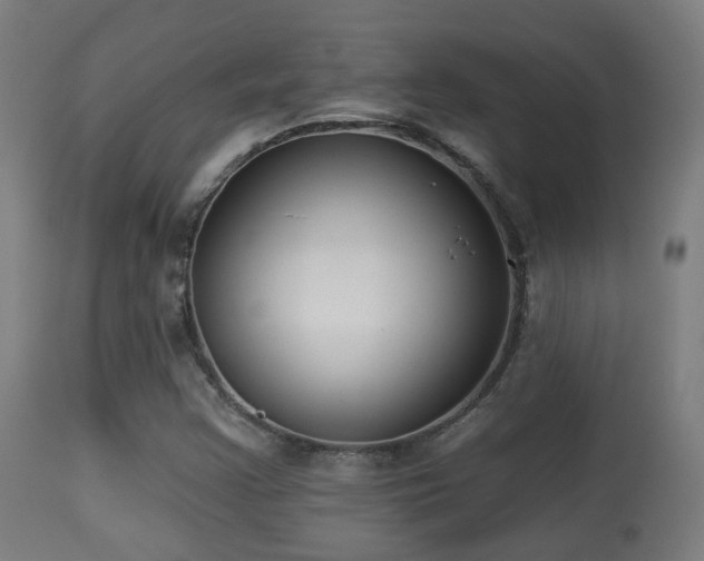 X0000113281355200909211030