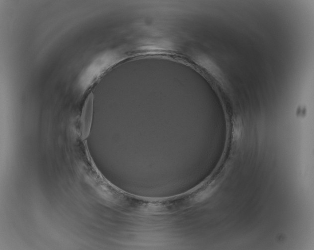 X0000113281357200909211030