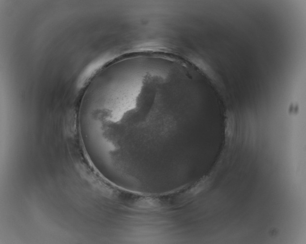 X0000113281358200909211030