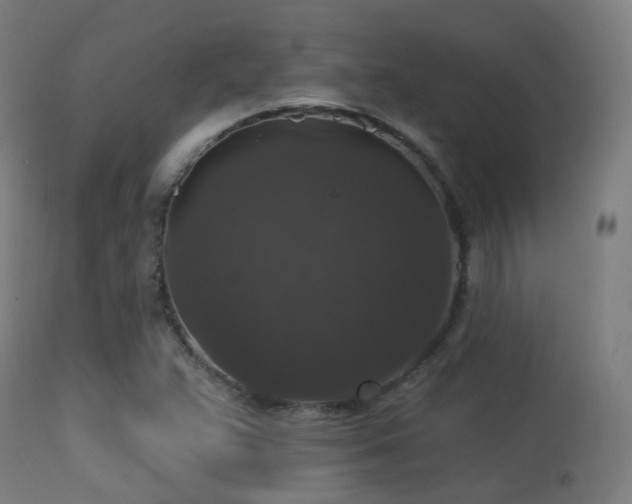 X0000113281359200909211030