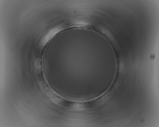 X0000113281362200909211030