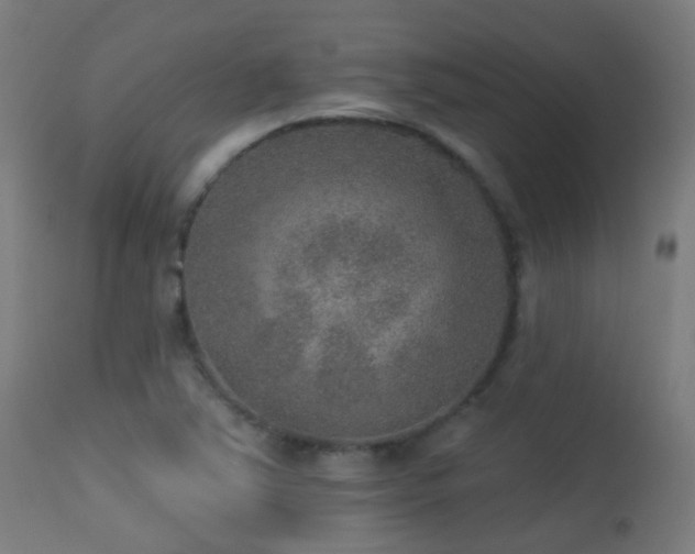 X0000113281363200909211030