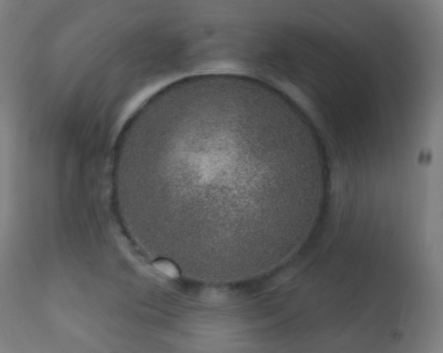 X0000113281364200909211030