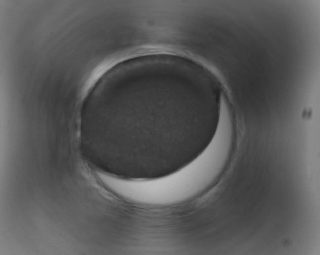 X0000113281365200909211030