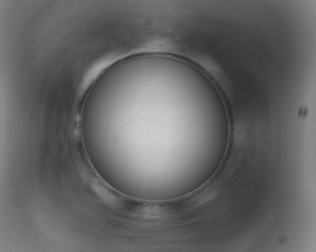 X0000113281366200909211030