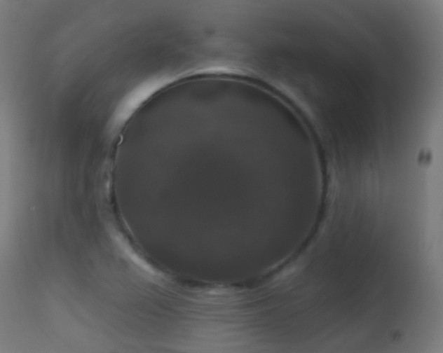 X0000113281367200909211029