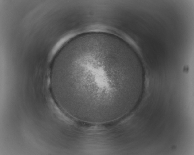 X0000113281368200909211029