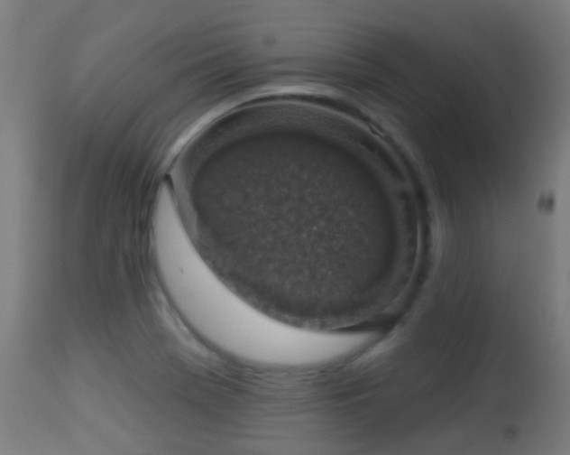 X0000113281369200909211029