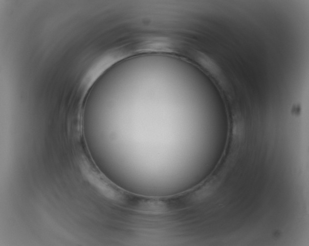 X0000113281370200909211029