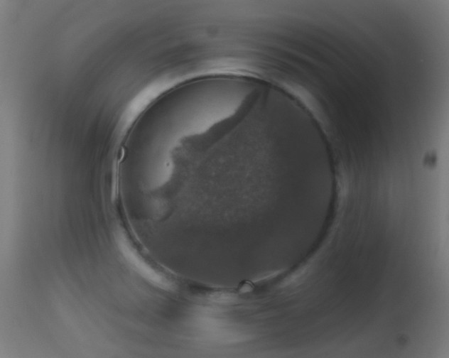 X0000113281371200909211029