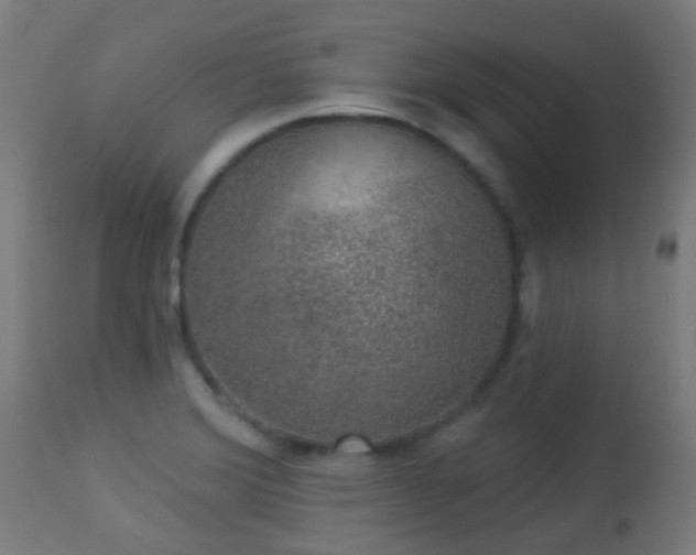 X0000113281372200909211029