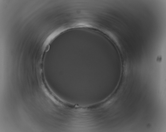 X0000113281373200909211029